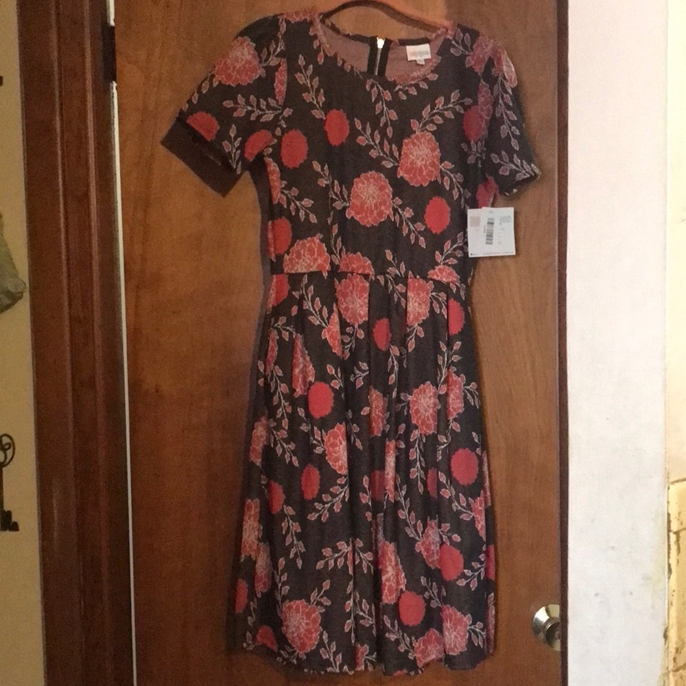 LuLaRoe Amelia dress